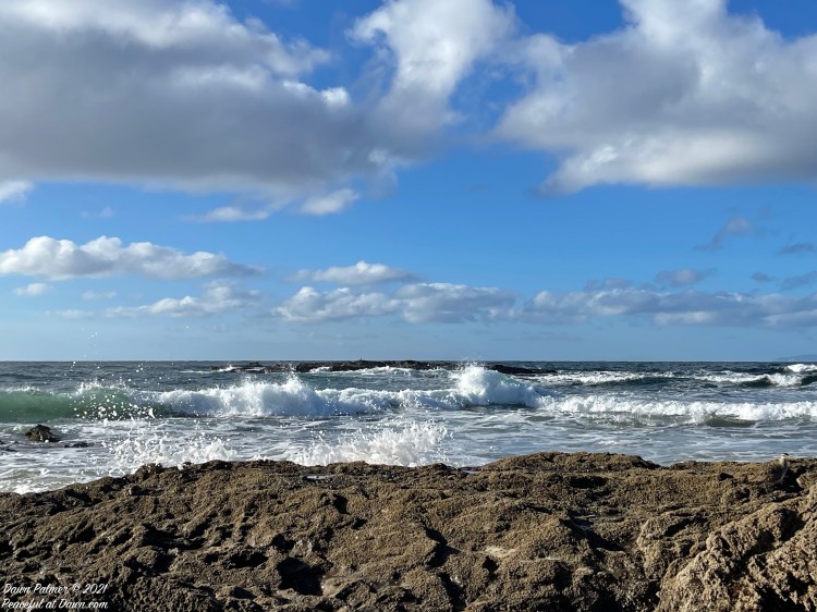 Cellpic Sunday: Winter Day at&nbsp;Beach