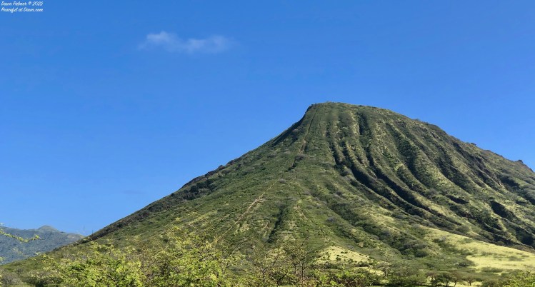 CMMC: Photos with the Letter&nbsp;V