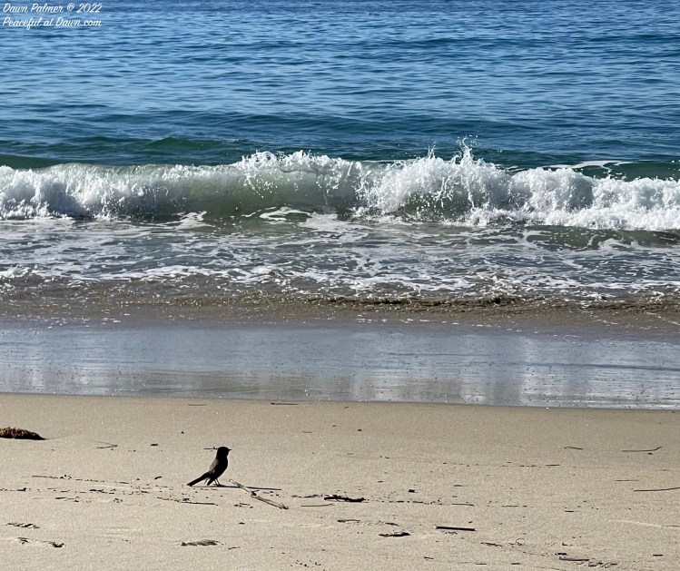 Cellpic Sunday – January 2,&nbsp;2022