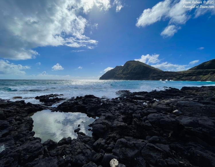 Hawaiian Lava Rocks