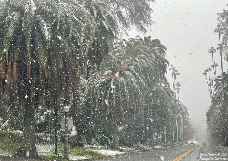 Wordless Wednesday – March 8th, 2023: SoCal Snow
