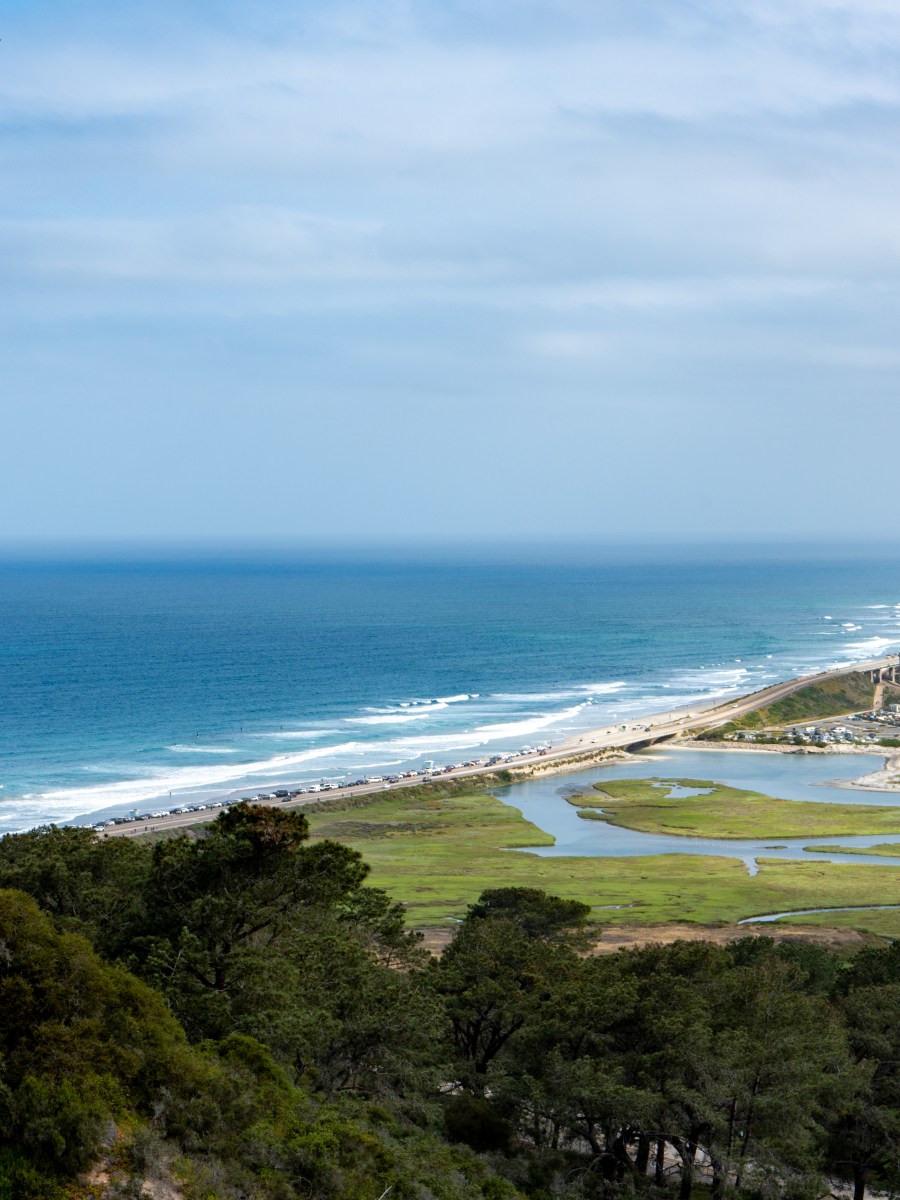 Exploring Torrey Pines: A Hidden Gem in&nbsp;California